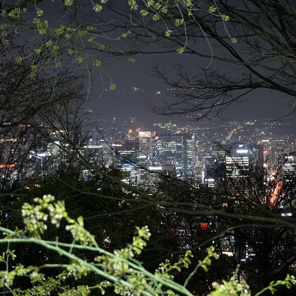 시그니처 리사스파 마사지 대표 안내 이미지