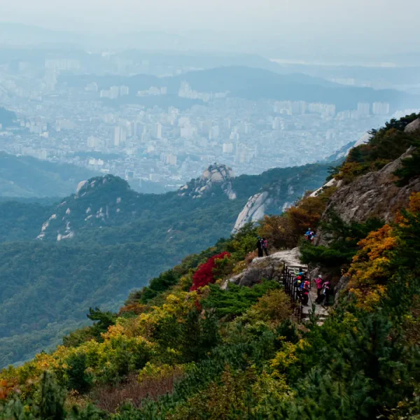 모던 제니센터 홈타이 제휴업체 이미지